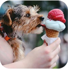Ice-cream