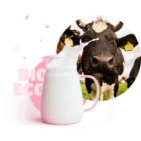 Сow with milk